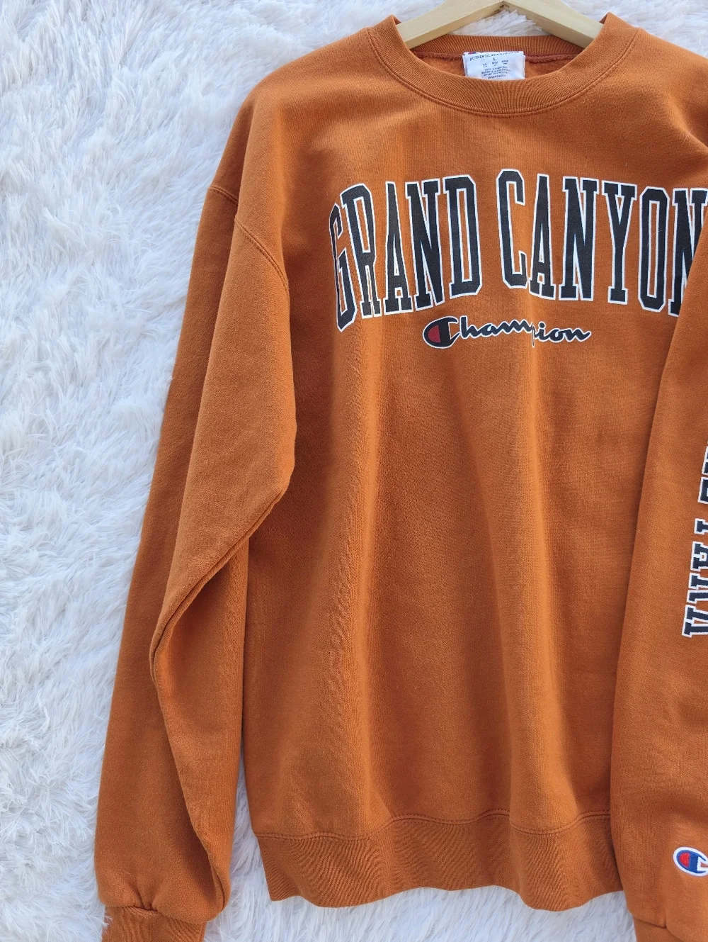 Champiom Grand Canyon National Parks Crewneck Sweatshirt - Picture 3 of 5
